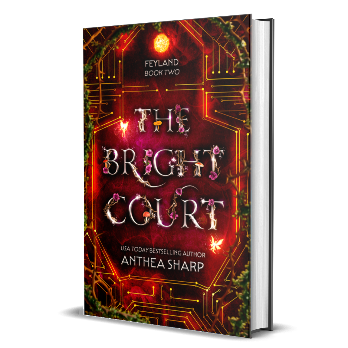 The Bright Court