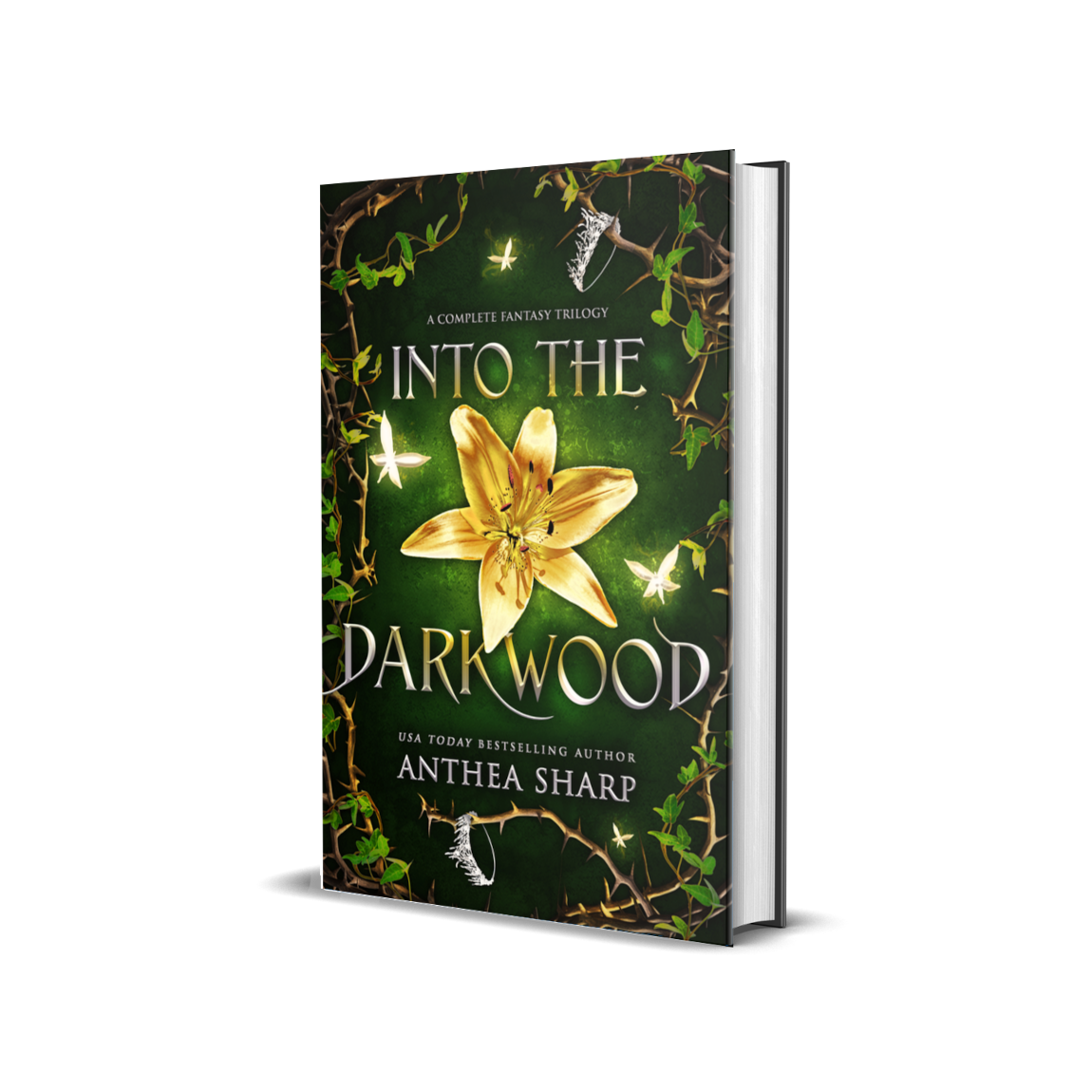 Into the Darkwood